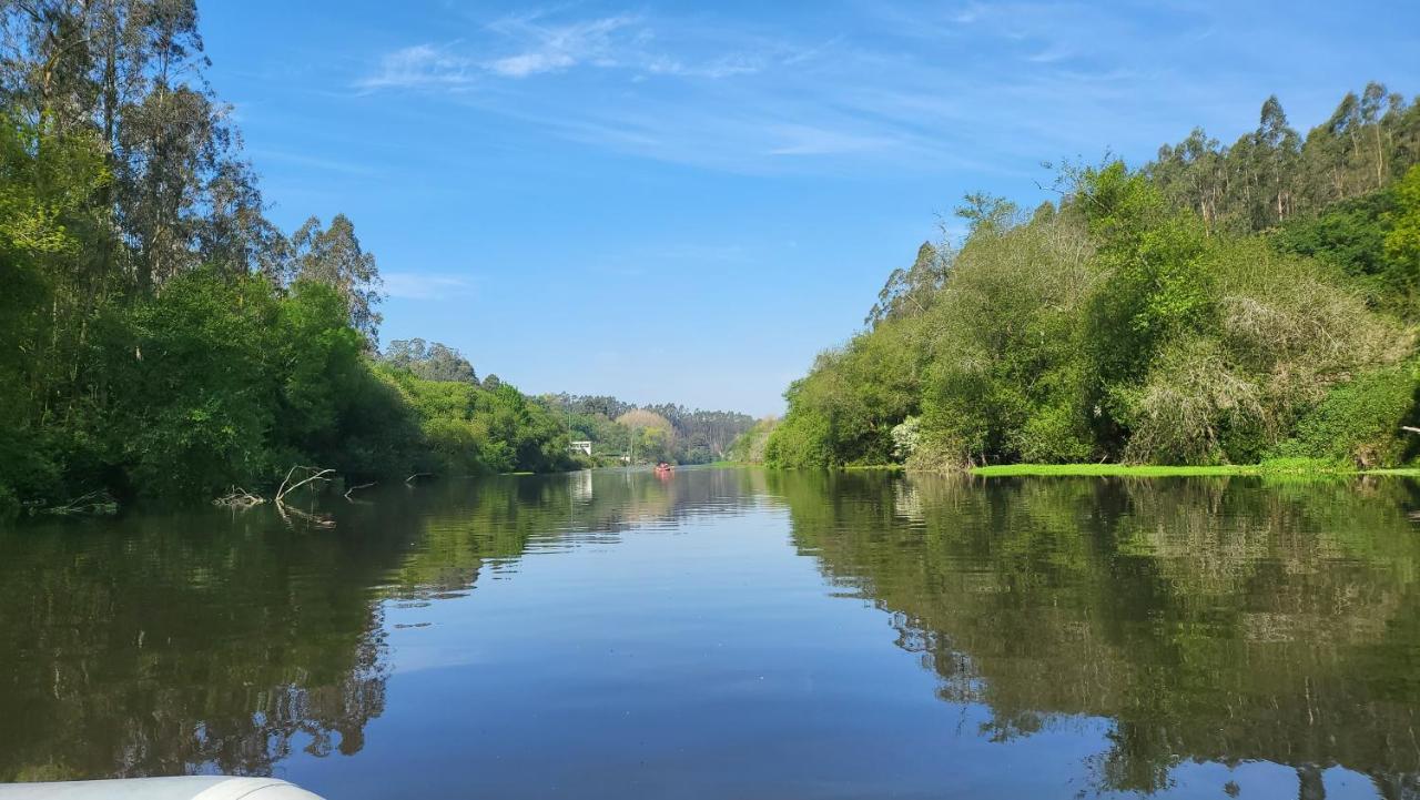 Riverhouse - Near River - Near Ocean - Near Πόρτο Εξωτερικό φωτογραφία